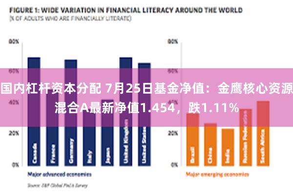 国内杠杆资本分配 7月25日基金净值：金鹰核心资源混合A最新净值1.454，跌1.11%