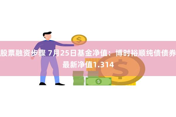 股票融资步骤 7月25日基金净值：博时裕顺纯债债券最新净值1.314