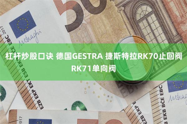 杠杆炒股口诀 德国GESTRA 捷斯特拉RK70止回阀RK71单向阀