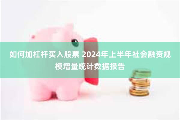 如何加杠杆买入股票 2024年上半年社会融资规模增量统计数据报告