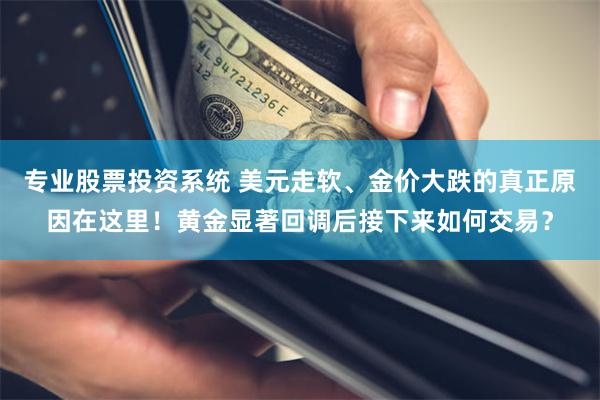 专业股票投资系统 美元走软、金价大跌的真正原因在这里！黄金显著回调后接下来如何交易？