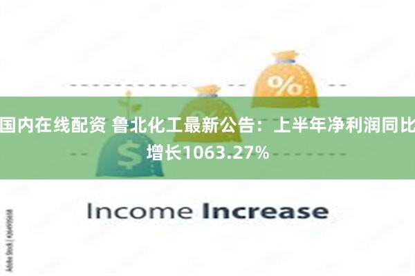 国内在线配资 鲁北化工最新公告：上半年净利润同比增长1063.27%