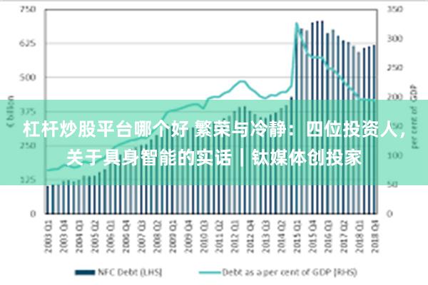 杠杆炒股平台哪个好 繁荣与冷静：四位投资人，关于具身智能的实话｜钛媒体创投家