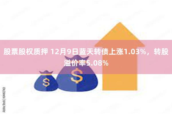 股票股权质押 12月9日蓝天转债上涨1.03%，转股溢价率5.08%