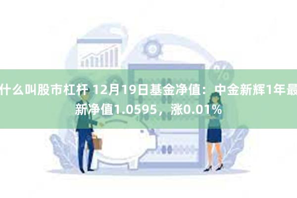 什么叫股市杠杆 12月19日基金净值：中金新辉1年最新净值1.0595，涨0.01%