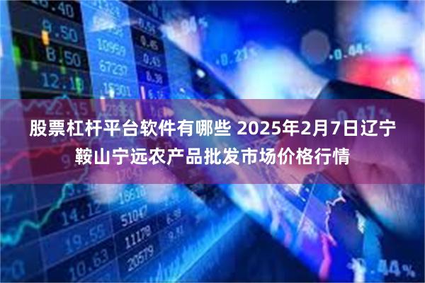 股票杠杆平台软件有哪些 2025年2月7日辽宁鞍山宁远农产品批发市场价格行情